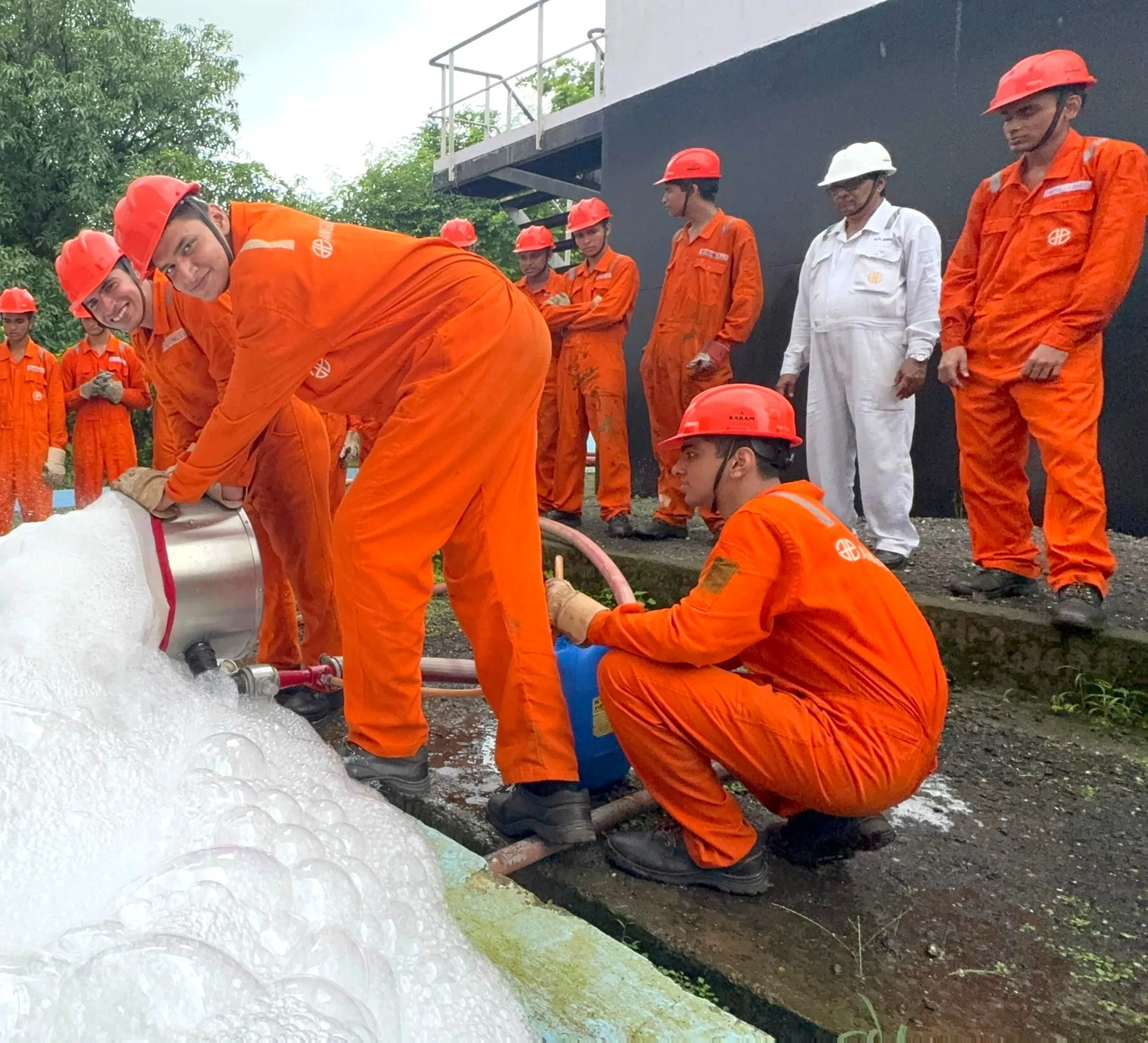 Learn from experienced professionals